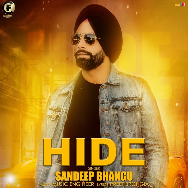 Hide