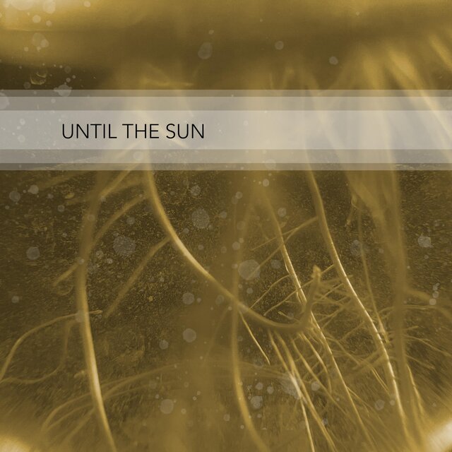 Cover art for album  by Four Day Beard