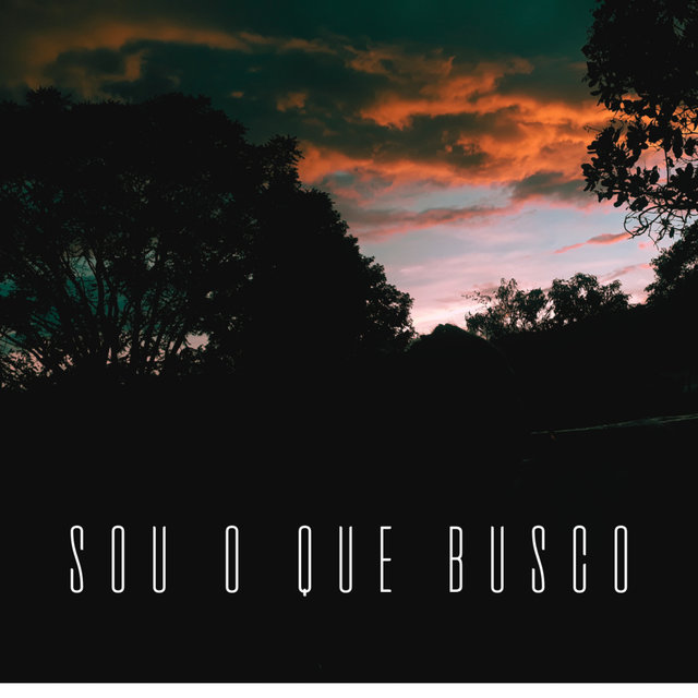 Sou o Que Busco