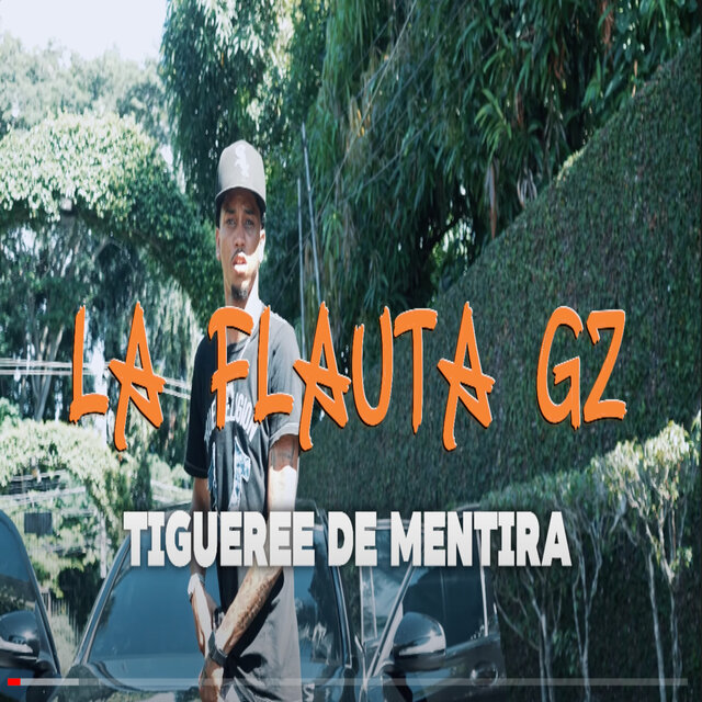 Tigueree de Mentira