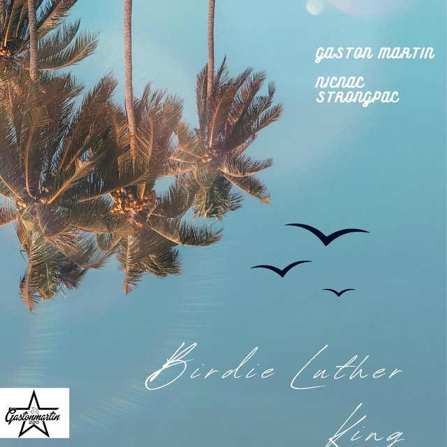 BIRDIE LUTHER KING (feat. NicNac StrongPac)