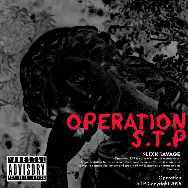 Operation S.T.P