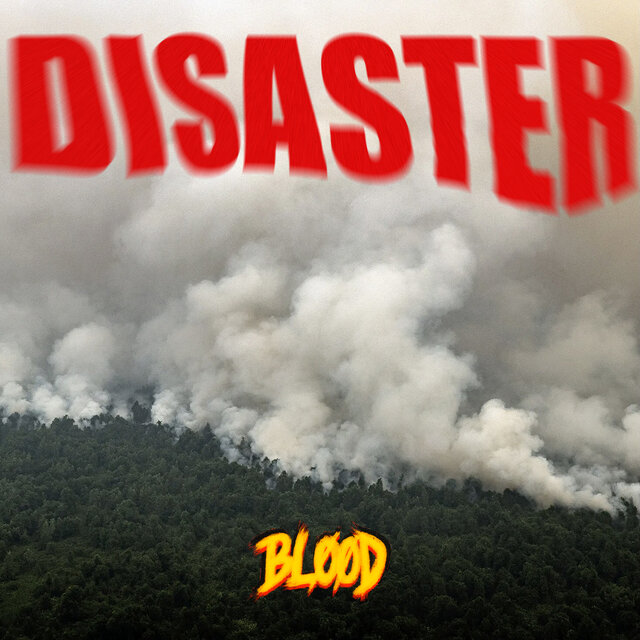 Disaster