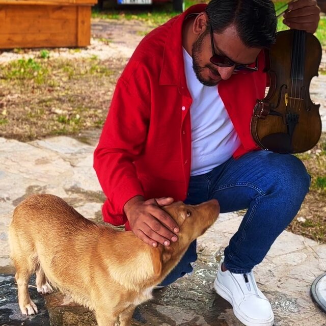 Mor Salkımlı Sokak