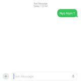 Nyo Nyin