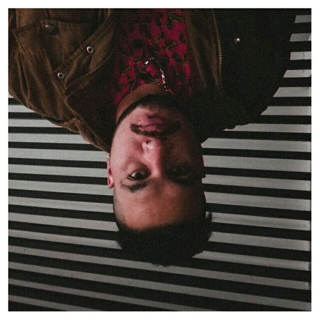Fly