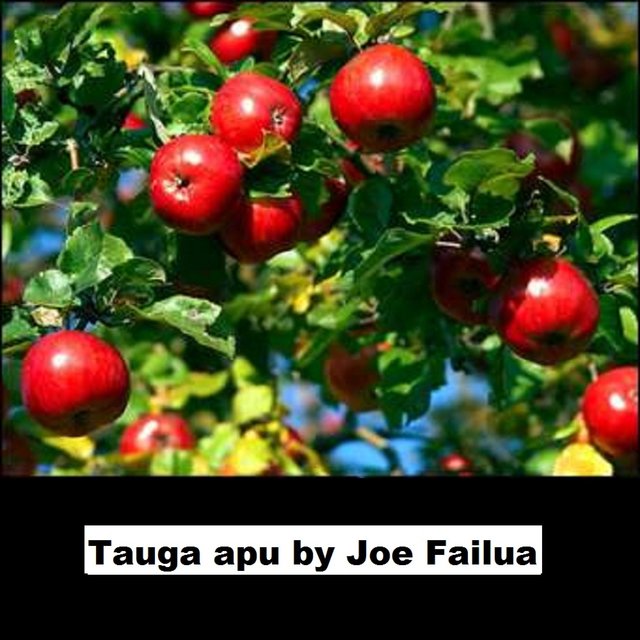 Tauga Apu