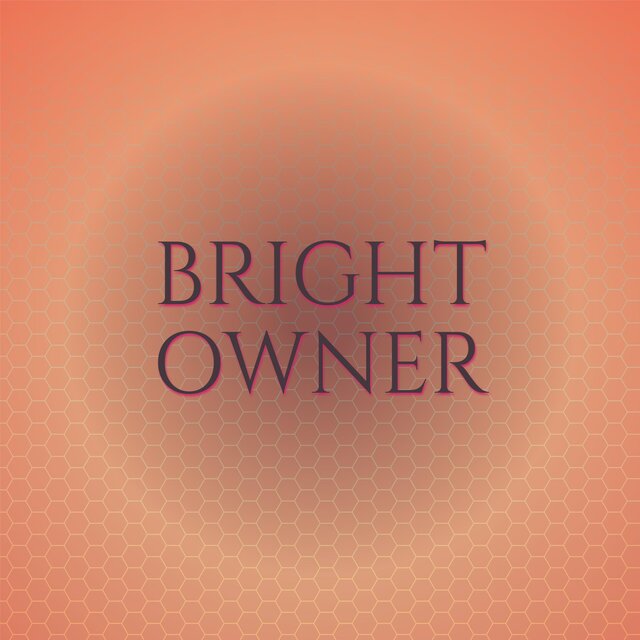 Bright Owner