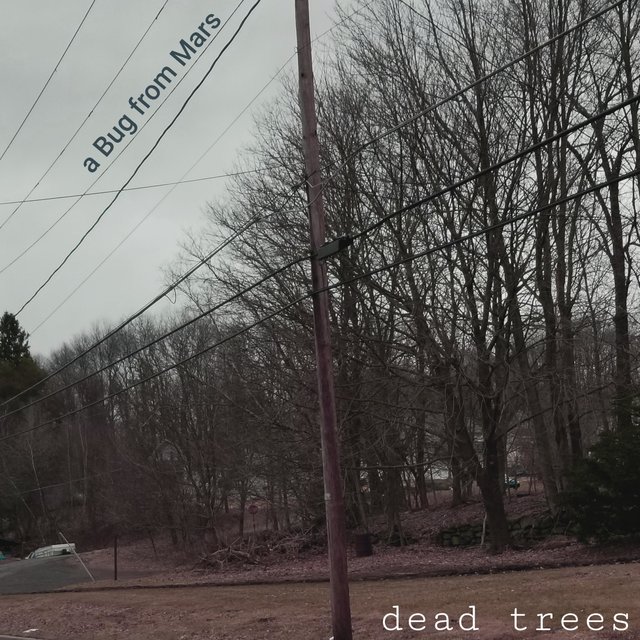 Dead Trees EP