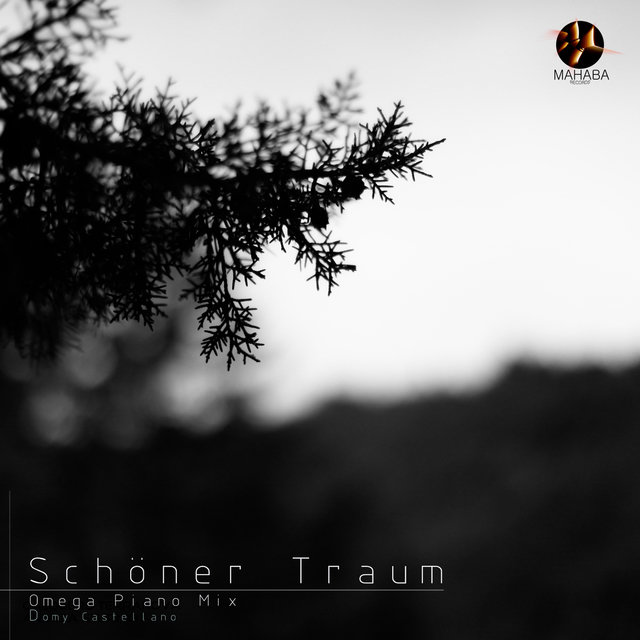 Schoner Traum - Single