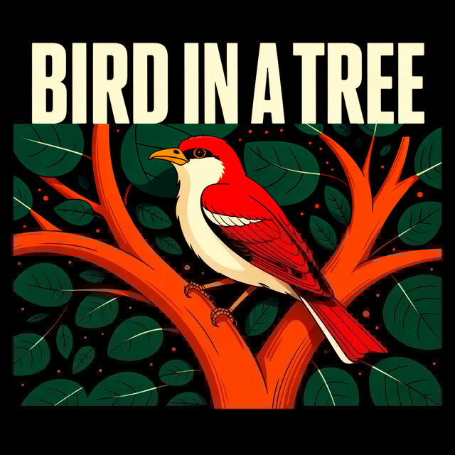 Bird In A Tree (Funky Cover)