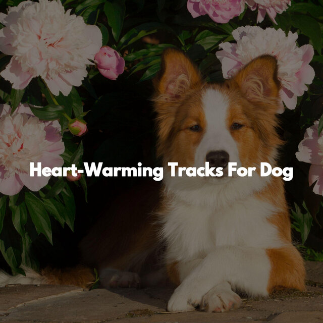 Heart-Warming Tracks For Dog