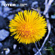 Cover art for album YOUNG HOEL III: HESTEHOVEN by Oter