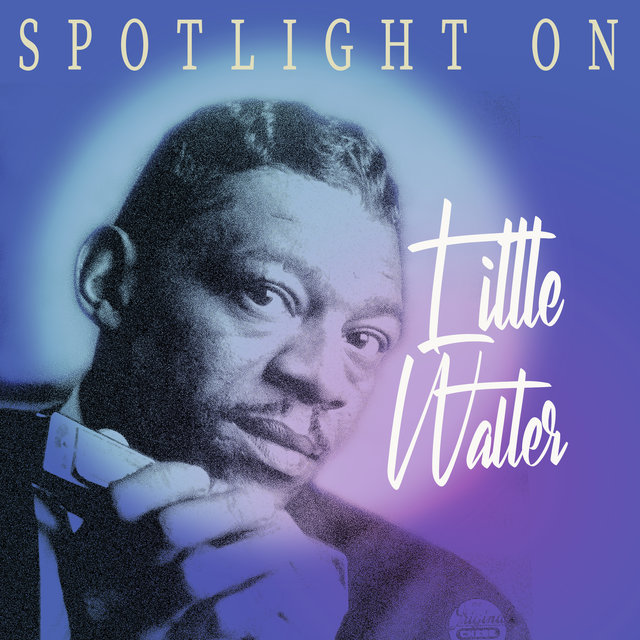 Spotlight on Little Walter