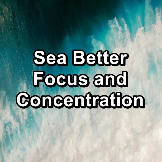 Sea Better Focus and Concentration