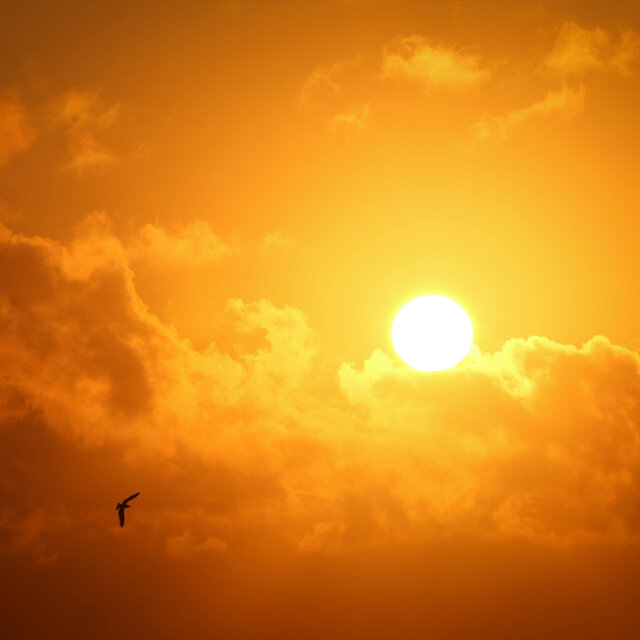 talking to the sun