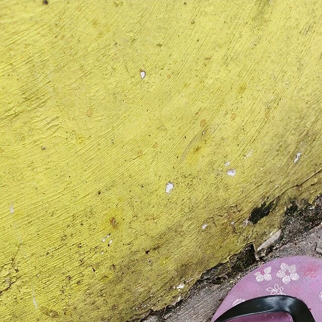 Tikus nakal