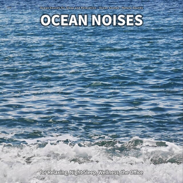 ** Ocean Noises for Relaxing, Night Sleep, Wellness, the Office