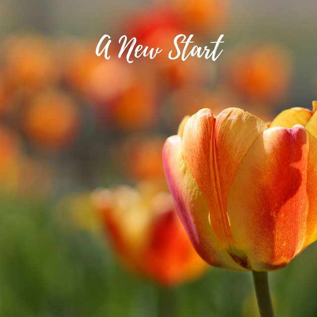 A New Start