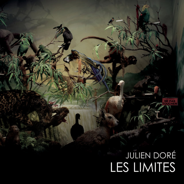 Les Limites