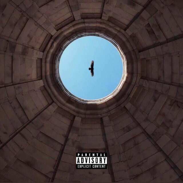 Birds Eye View