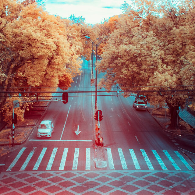 Tarde II
