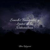 Espíritus Tranquilos