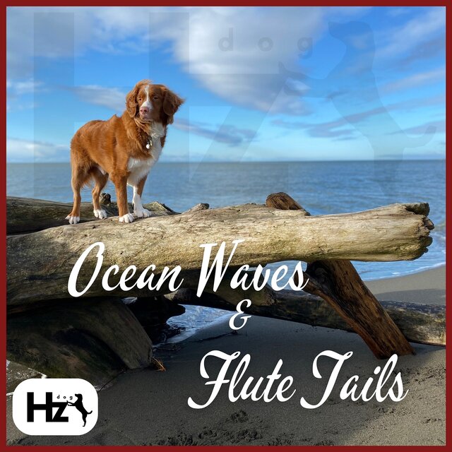 Ocean Waves & Flute Tails: 417 Hz for Wet Pups