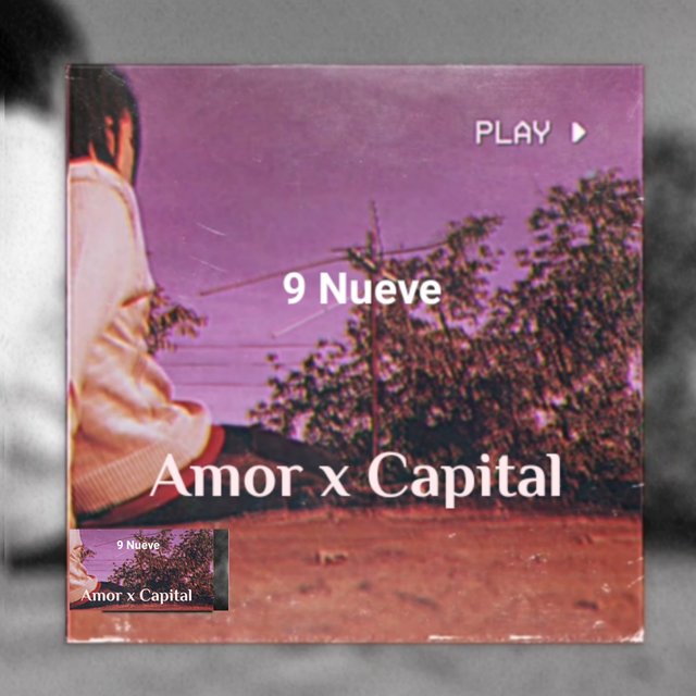 Amor x Capital