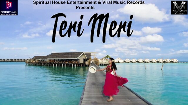 Teri Meri-Hindi  Video Song