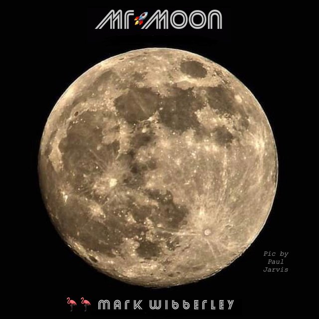 Mr Moon