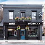 Dog Friendly
