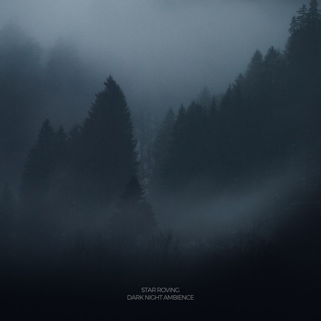 Dark Night Ambience