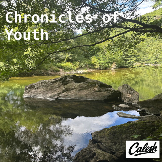 Chronicles of Youth