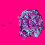 null (1)