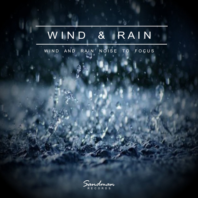 Wind & Rain - Wind And Rain Noise To Focus
