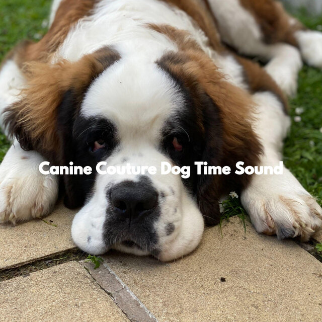 Canine Couture Dog Time Sound