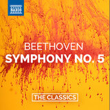 Symphony No. 5 in C Minor, Op. 67: I. Allegro con brio