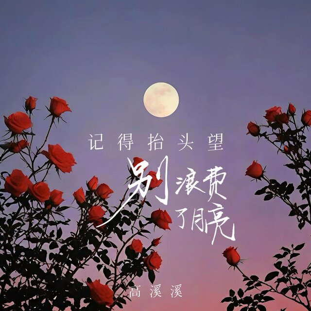 记得抬头望别浪费了月亮
