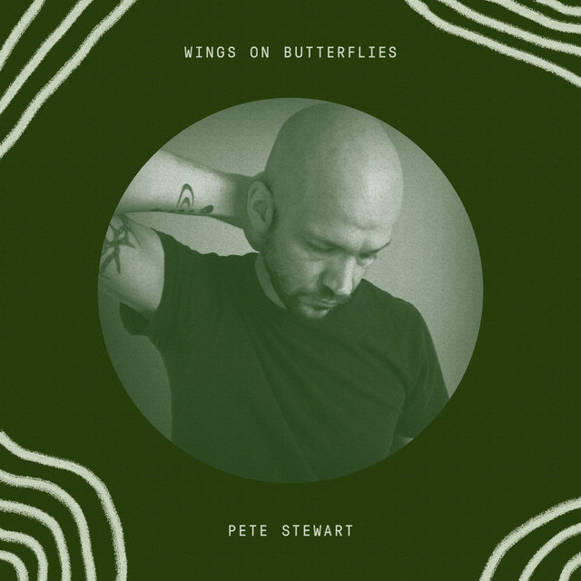 Wings on Butterflies