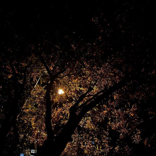 夏夜