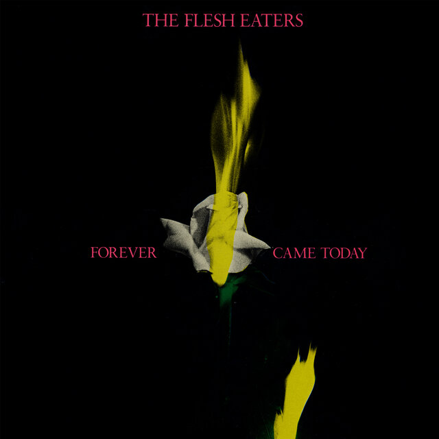 Forever Came Today