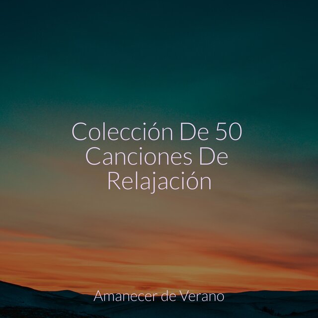 Colección De 50 Canciones De Relajación
