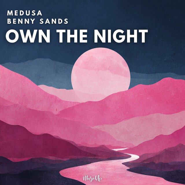 Own The Night