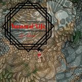Immoral Life