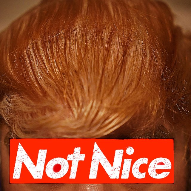 Not Nice