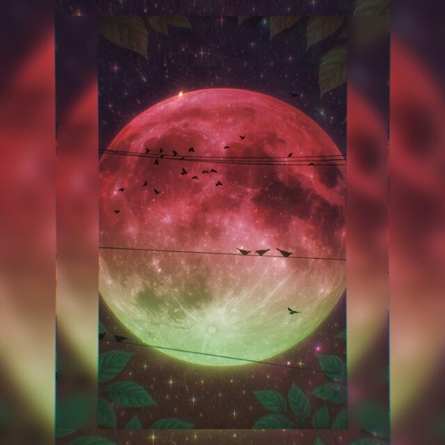into the deepest night