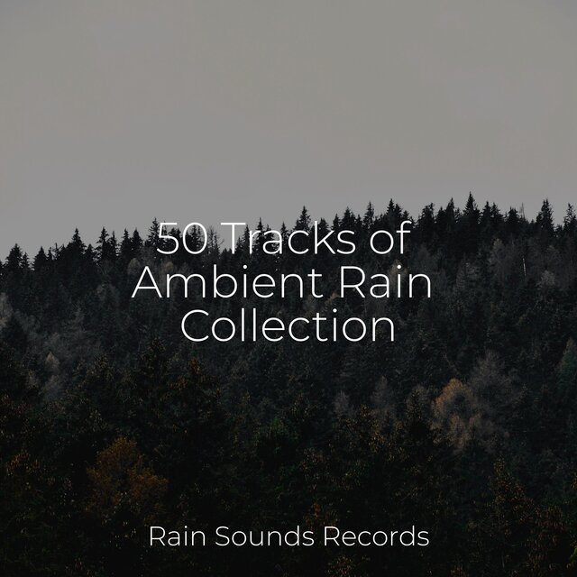 50 Tracks of Ambient Rain Collection