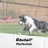 Naught Protrusion