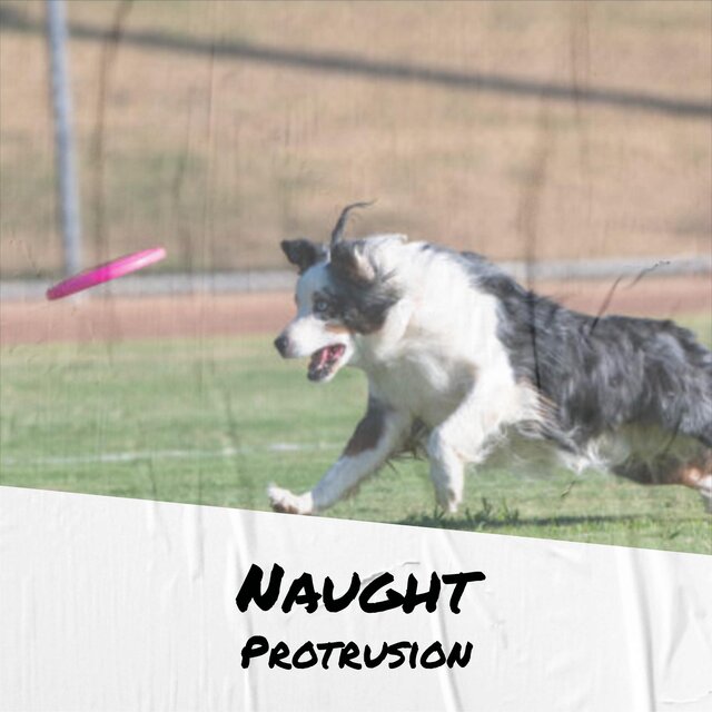 Naught Protrusion